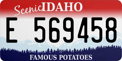 ID license plate E569458