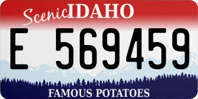 ID license plate E569459
