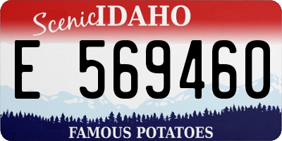 ID license plate E569460