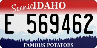 ID license plate E569462