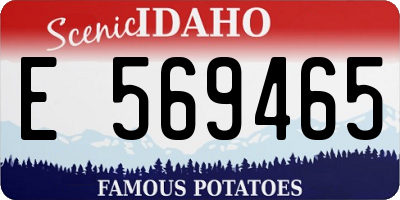 ID license plate E569465
