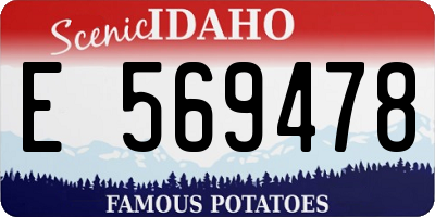 ID license plate E569478