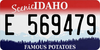 ID license plate E569479