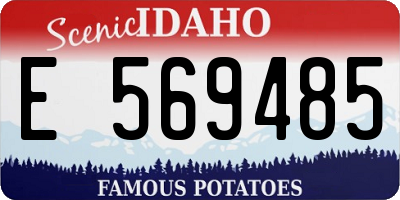 ID license plate E569485