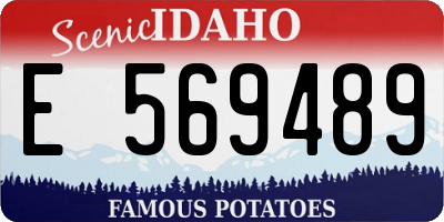ID license plate E569489