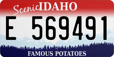 ID license plate E569491