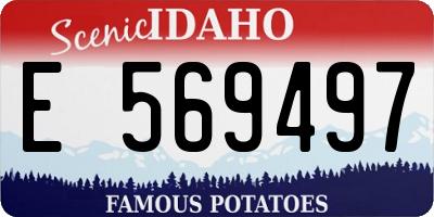ID license plate E569497