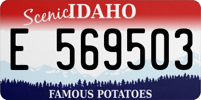 ID license plate E569503