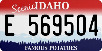 ID license plate E569504