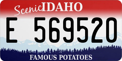 ID license plate E569520