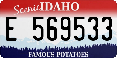 ID license plate E569533
