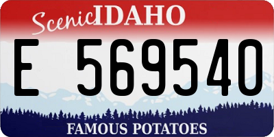 ID license plate E569540