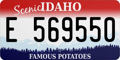 ID license plate E569550