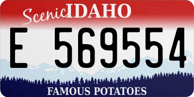 ID license plate E569554