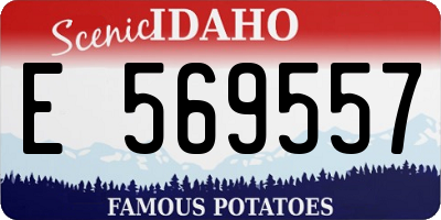 ID license plate E569557
