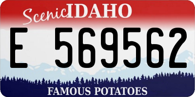 ID license plate E569562