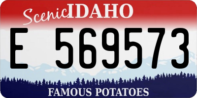 ID license plate E569573