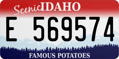 ID license plate E569574