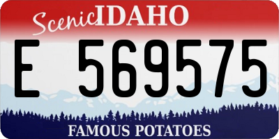 ID license plate E569575