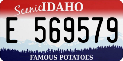 ID license plate E569579