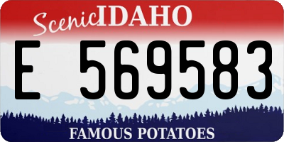 ID license plate E569583