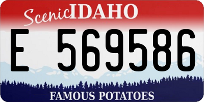 ID license plate E569586
