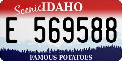 ID license plate E569588