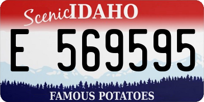 ID license plate E569595