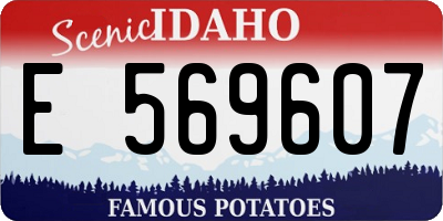 ID license plate E569607