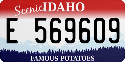 ID license plate E569609