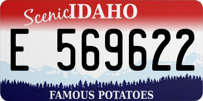 ID license plate E569622