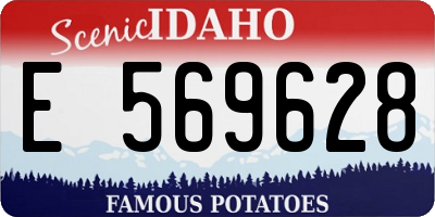 ID license plate E569628