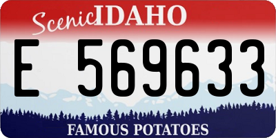 ID license plate E569633