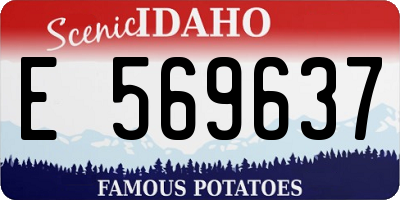 ID license plate E569637