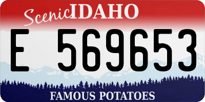 ID license plate E569653