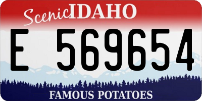ID license plate E569654