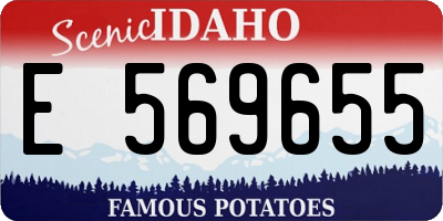 ID license plate E569655