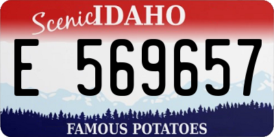 ID license plate E569657