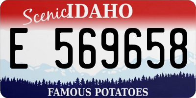 ID license plate E569658