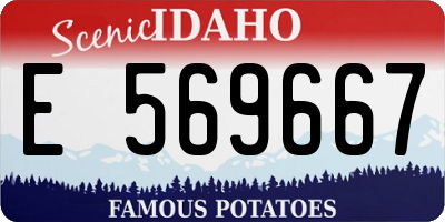 ID license plate E569667