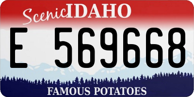 ID license plate E569668