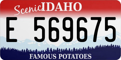 ID license plate E569675