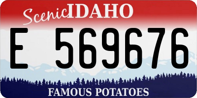 ID license plate E569676