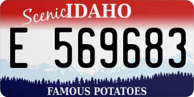 ID license plate E569683