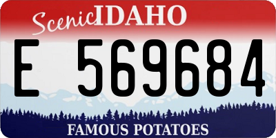 ID license plate E569684