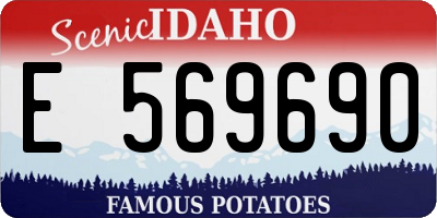 ID license plate E569690