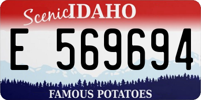 ID license plate E569694