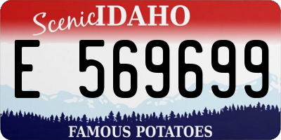 ID license plate E569699