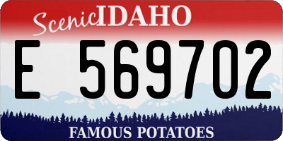 ID license plate E569702