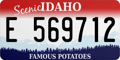 ID license plate E569712